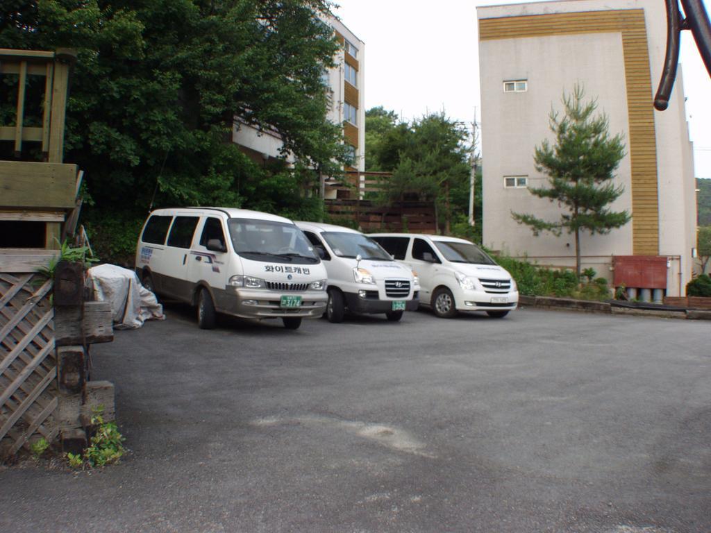 פיאונגצ'אנג White Cabin מראה חיצוני תמונה